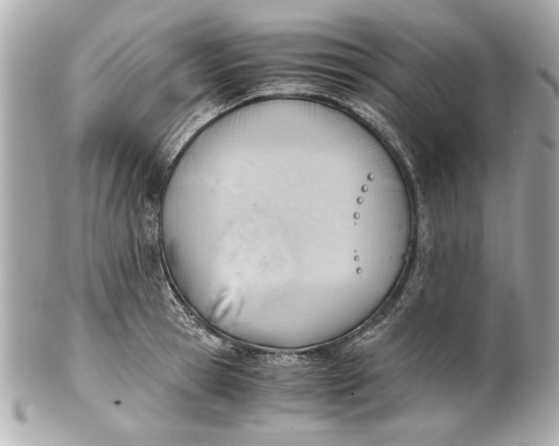 X0000101660945200807311432