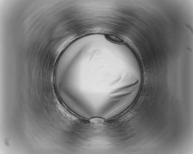 X0000101660946200807311432