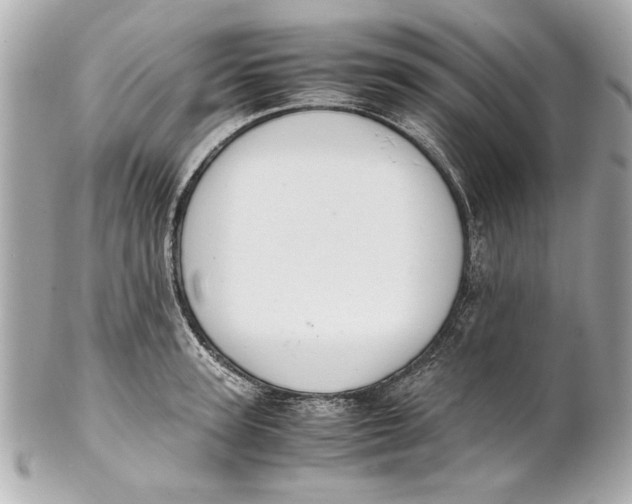 X0000101660947200807311432