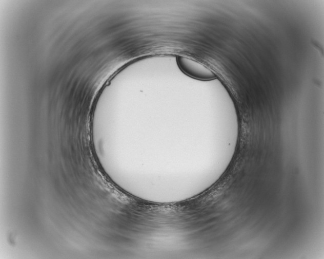 X0000101660948200807311432