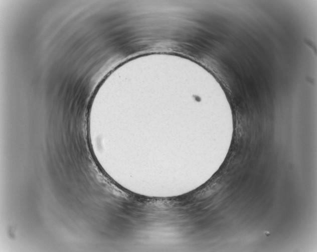 X0000101660950200807311432