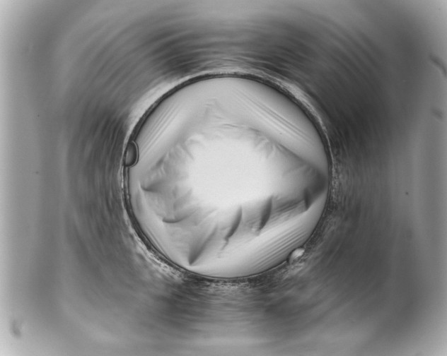 X0000101660951200807311432