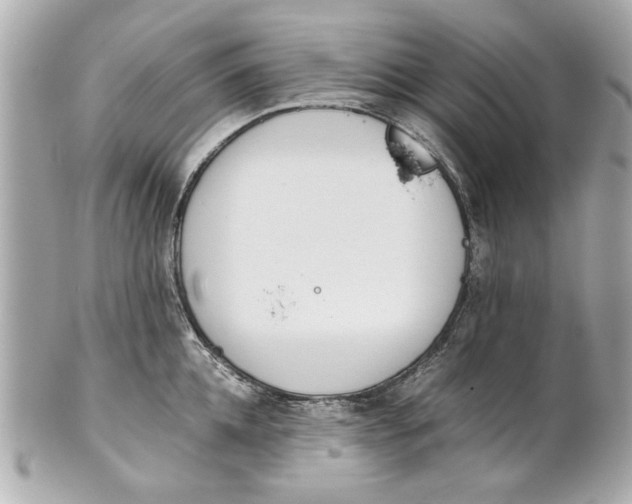 X0000101660952200807311432