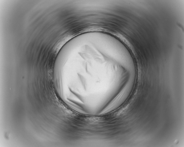 X0000101660953200807311432