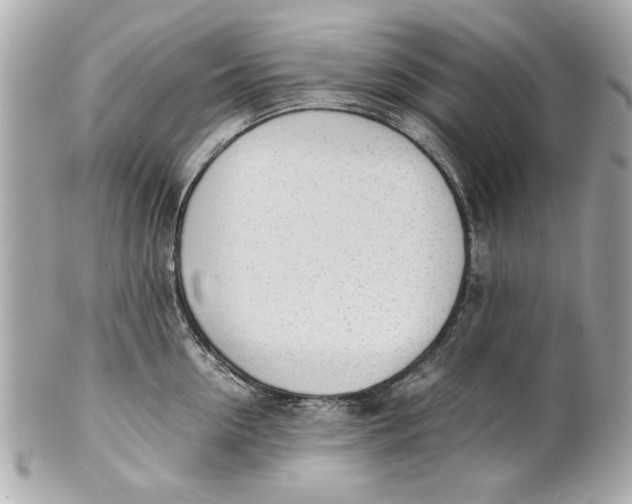 X0000101660954200807311432