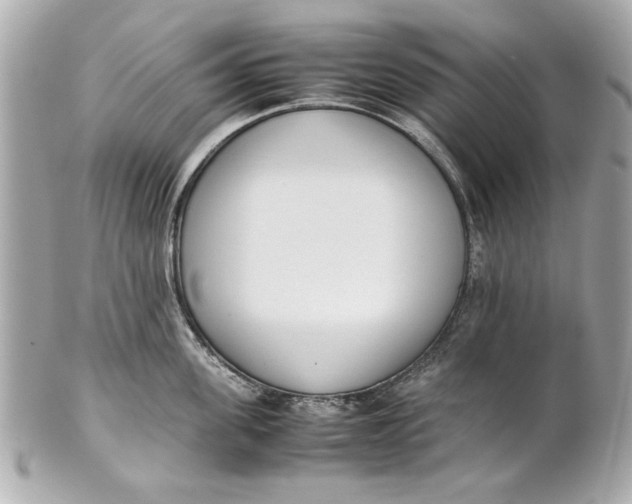 X0000101660955200807311432