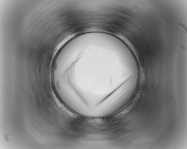 X0000101660957200807311432