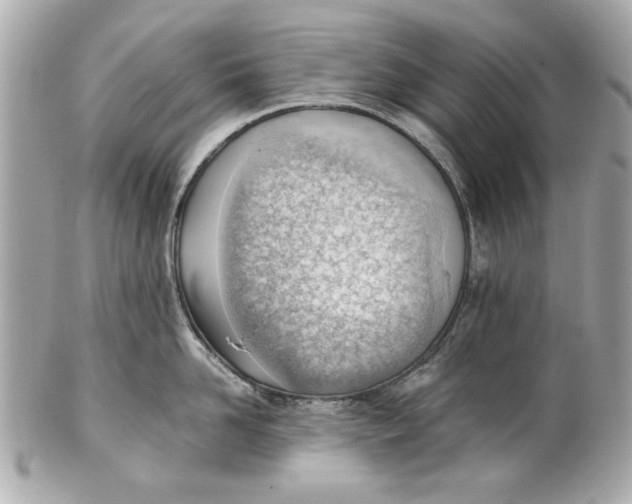 X0000101660958200807311432