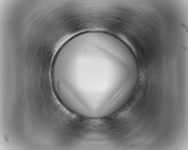 X0000101660959200807311432