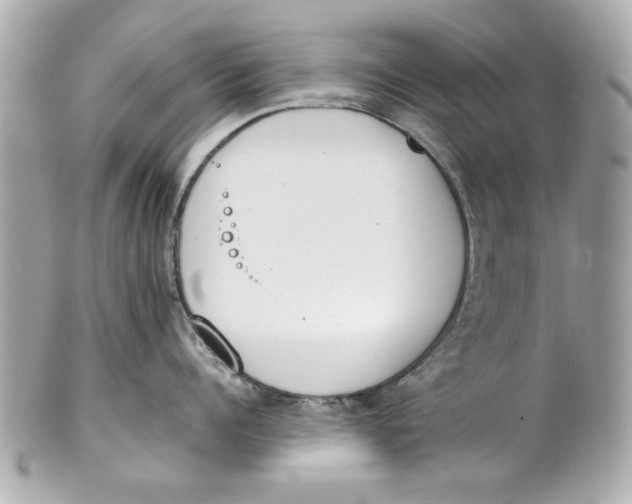 X0000101660960200807311432