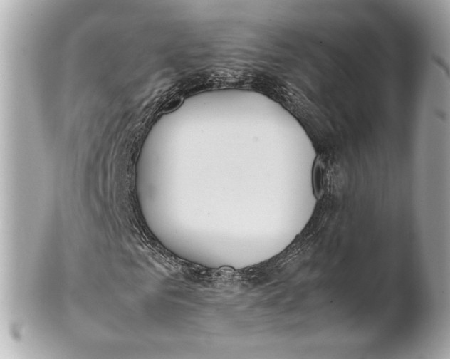 X0000101660961200807311431