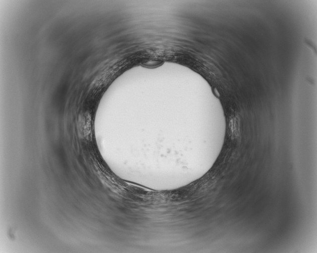 X0000101660963200807311431