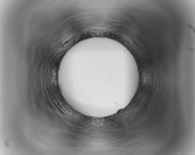 X0000101660964200807311431