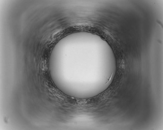 X0000101660965200807311431