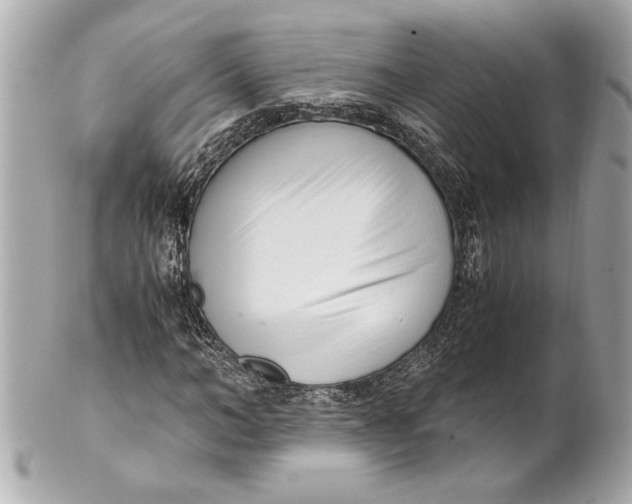 X0000101660966200807311431