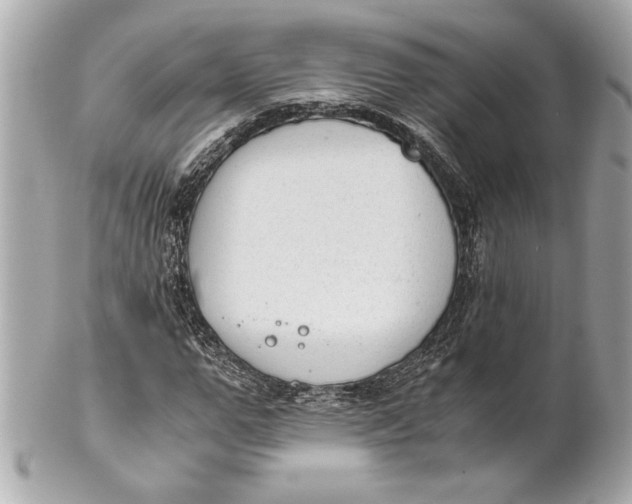 X0000101660967200807311431