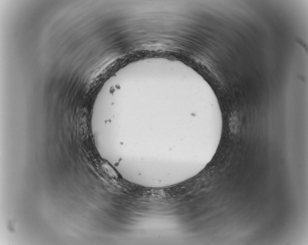 X0000101660968200807311431