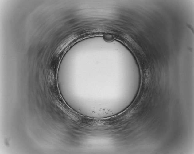 X0000101660969200807311431