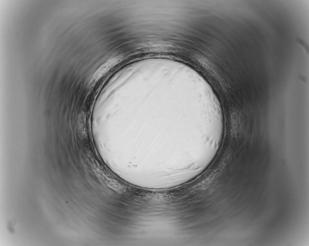 X0000101660970200807311431