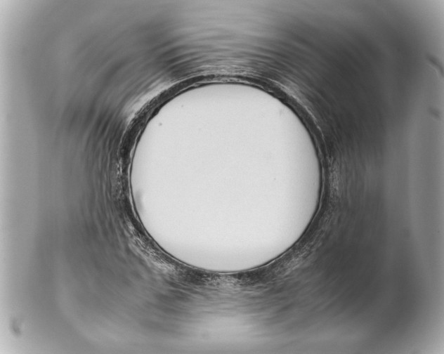 X0000101660971200807311431