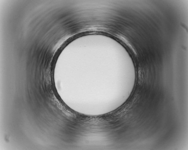 X0000101660972200807311431