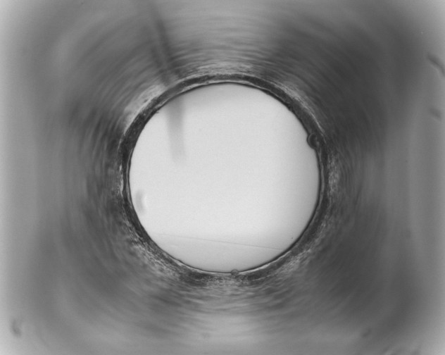 X0000101660973200807311431