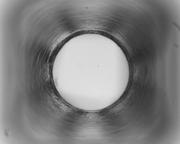 X0000101660974200807311431