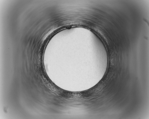 X0000101660975200807311431