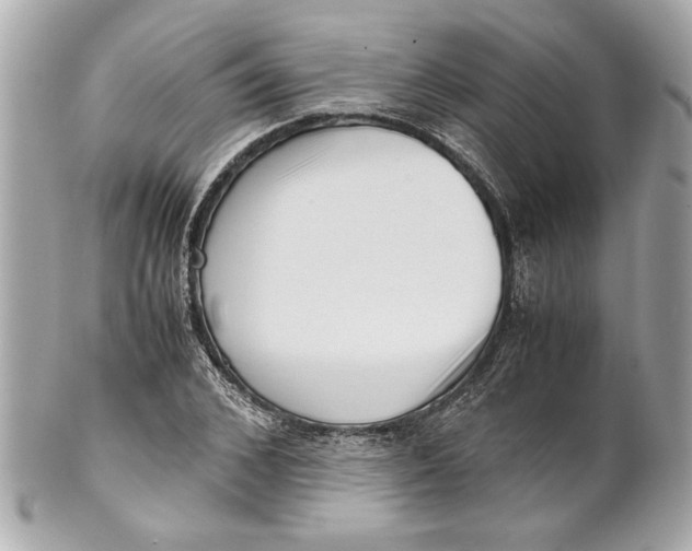 X0000101660976200807311431