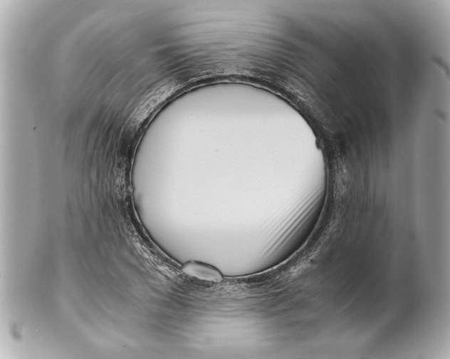 X0000101660977200807311431