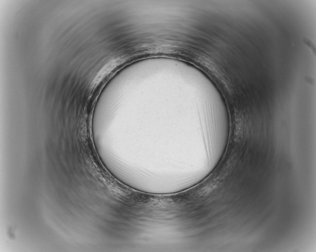 X0000101660978200807311431