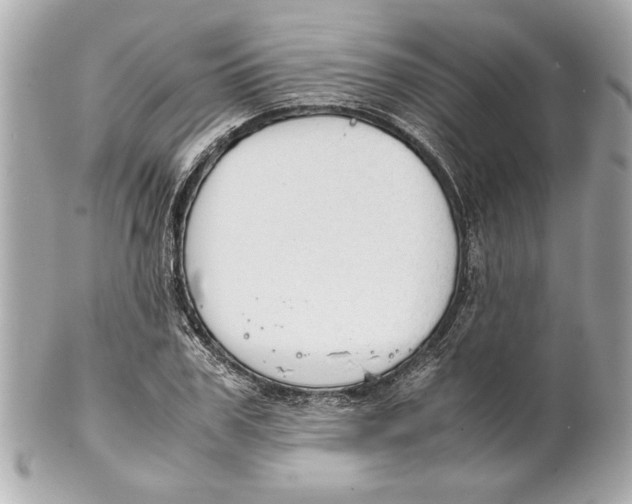 X0000101660979200807311431