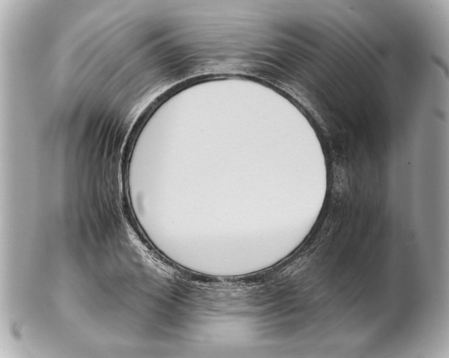 X0000101660980200807311431