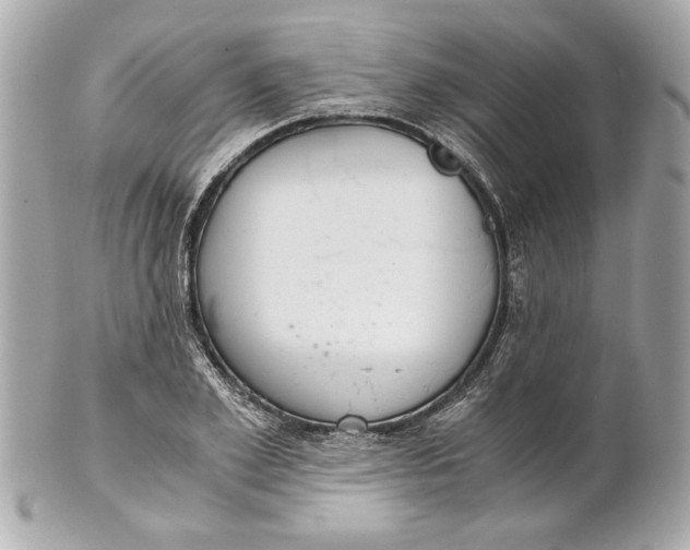 X0000101660981200807311431