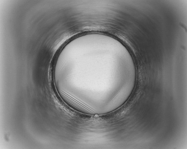 X0000101660983200807311431