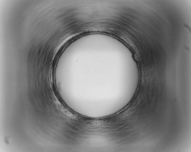 X0000101660984200807311431