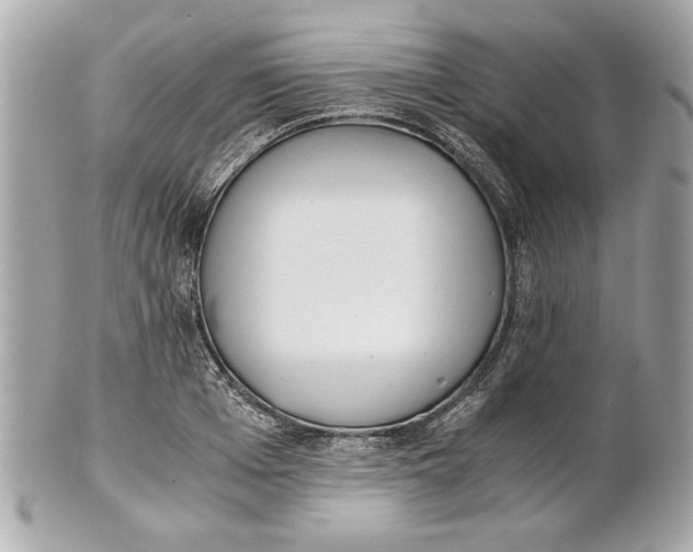 X0000101660985200807311431