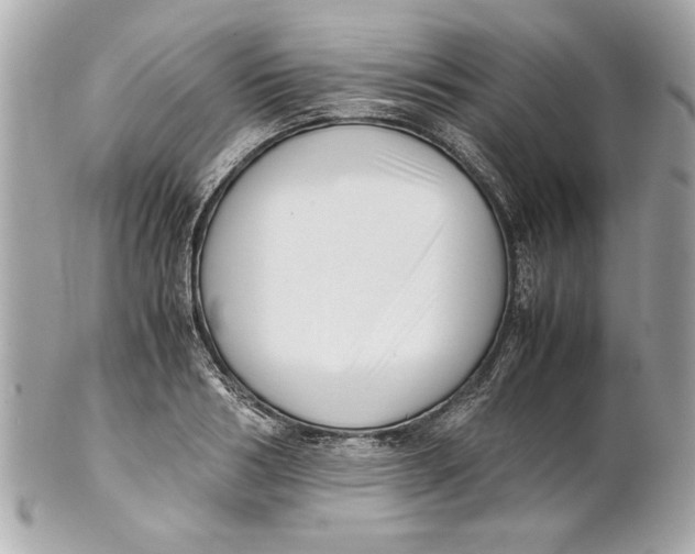 X0000101660986200807311431