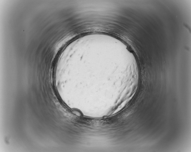 X0000101660987200807311431