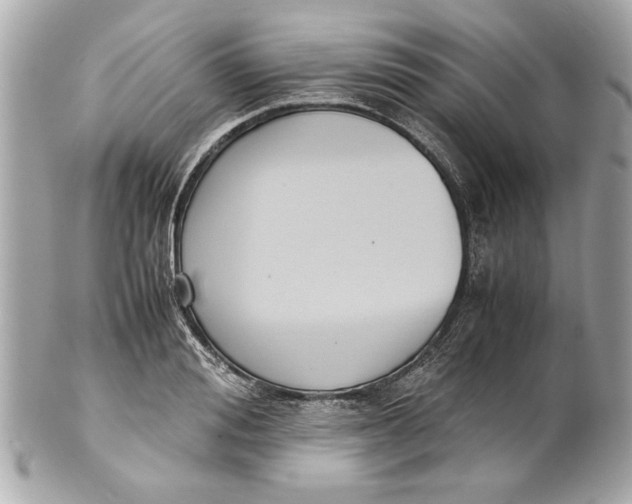 X0000101660988200807311431