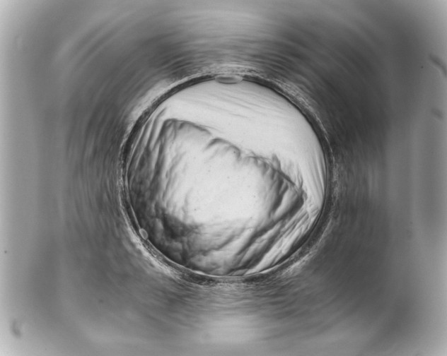 X0000101660989200807311431