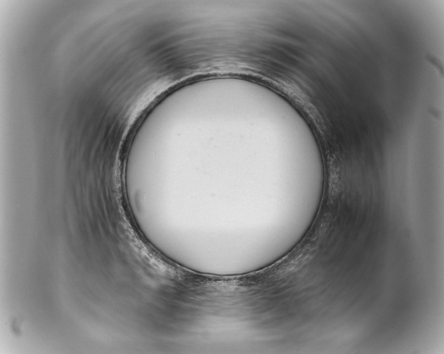 X0000101660990200807311431