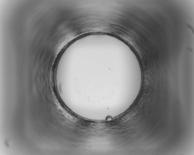 X0000101660991200807311431