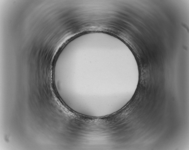 X0000101660992200807311431