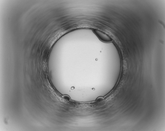 X0000101660993200807311431