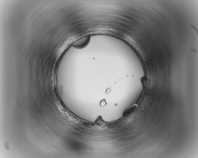 X0000101660994200807311431