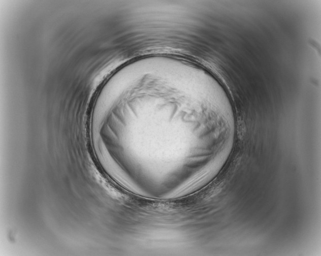 X0000101660995200807311431