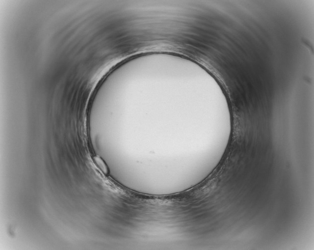 X0000101660996200807311431