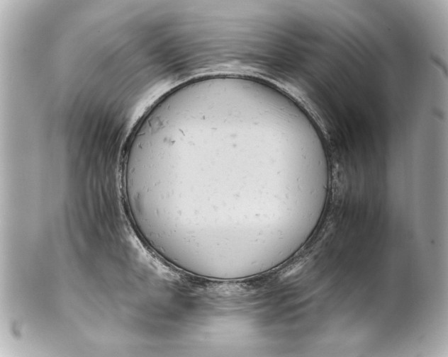 X0000101660998200807311431