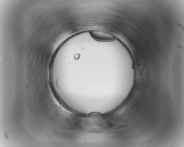 X0000101660999200807311431